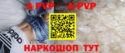 стафф Дубна