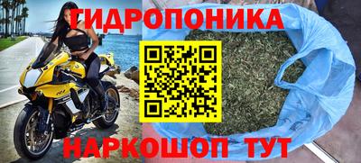 стафф Дубна
