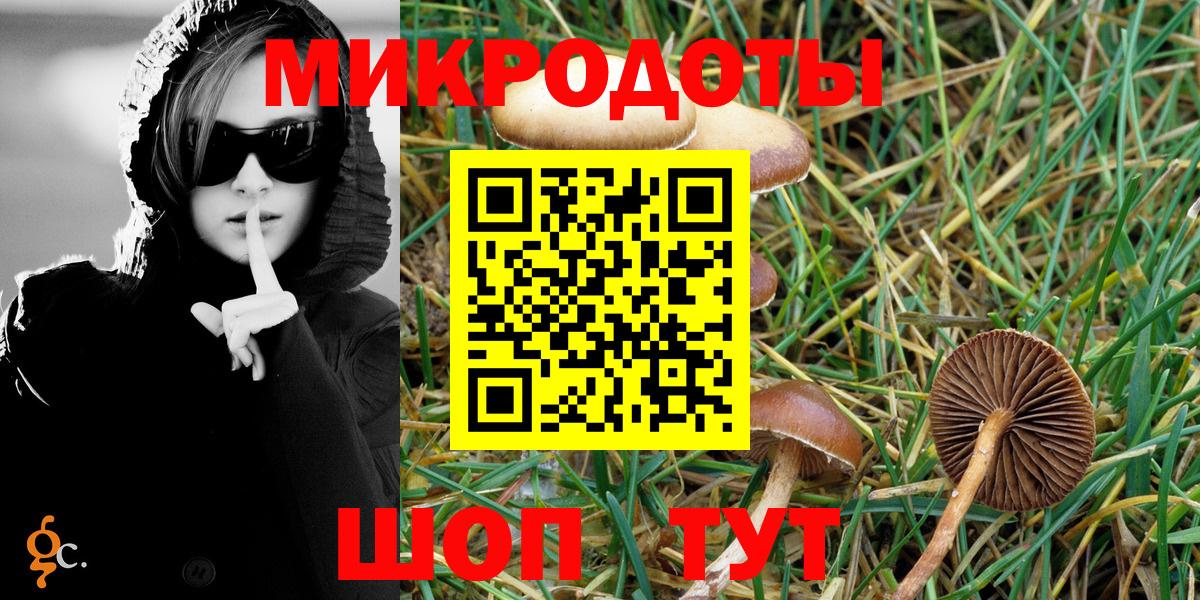Псилоцибиновые грибы Cubensis Зеленодольск